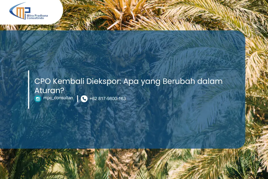 Crude Palm Oil (CPO) Kembali Diekspor: Apa yang Berubah dalam Aturan?